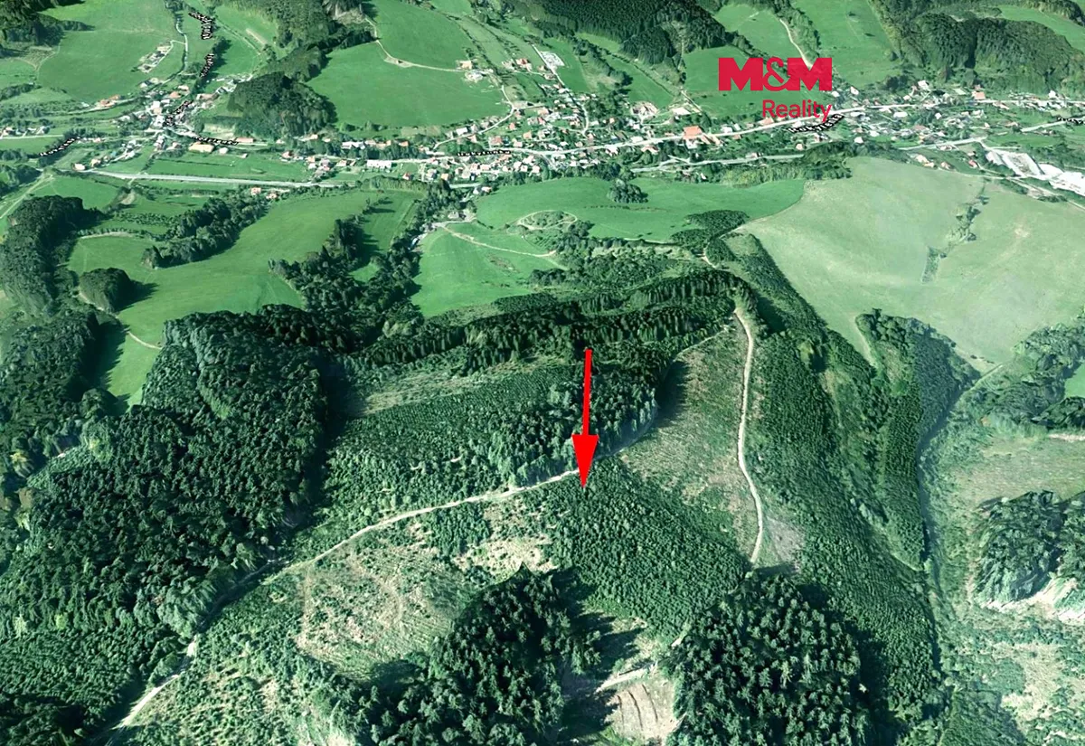 Prodej lesa 8758 m²