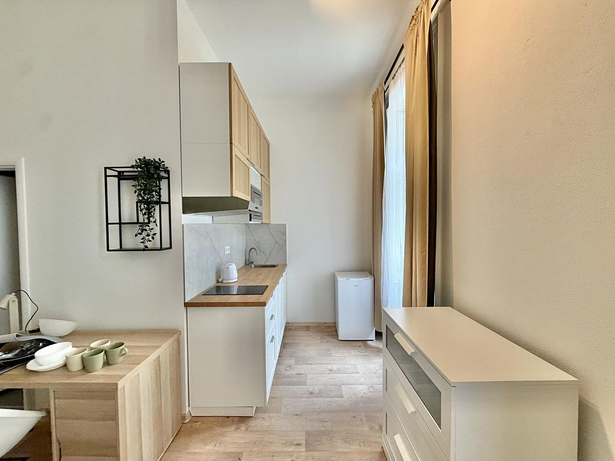 Pronájem bytu 1+kk 35 m² – fotografie 4