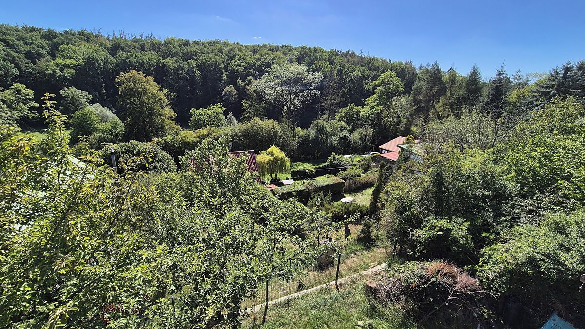 Prodej chaty 50 m², pozemek 368 m² – fotografie 3