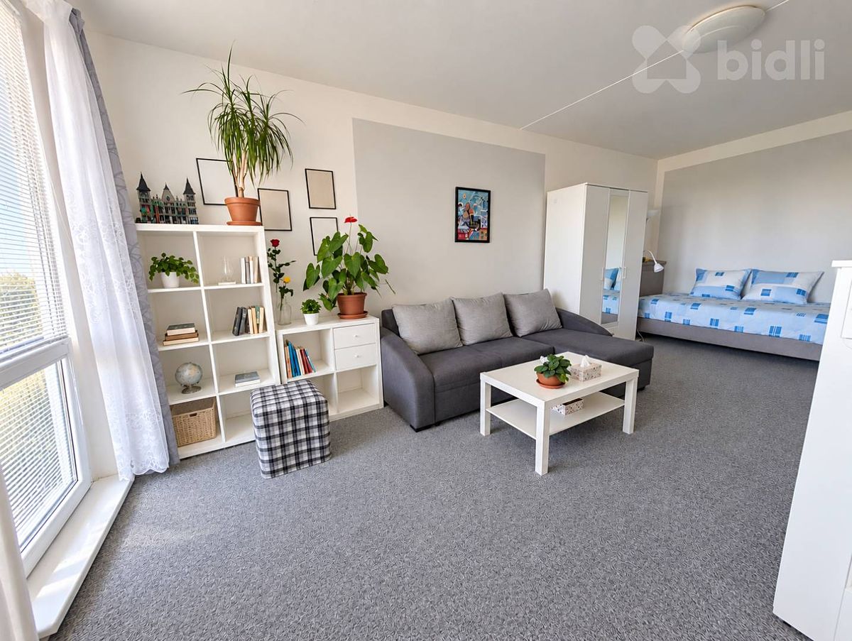 Prodej bytu 1+1 45 m²