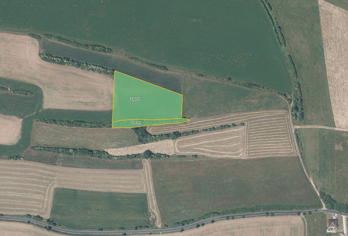 Prodej pole 11676 m², Všeradice – fotka 1 z 3