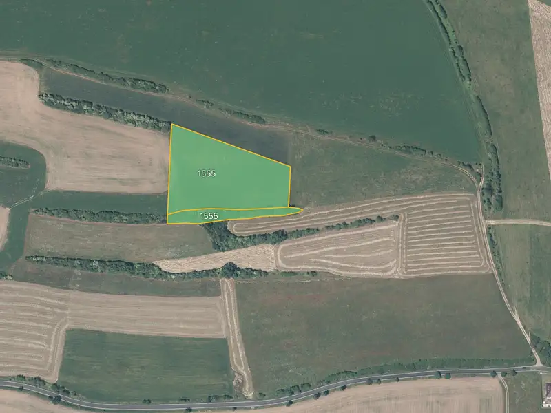 Prodej pole 11676 m², Všeradice – náhled fotky 1