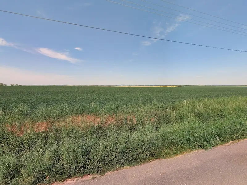 Prodej pozemku 11542 m², Dolní Slivno – náhled fotky 3