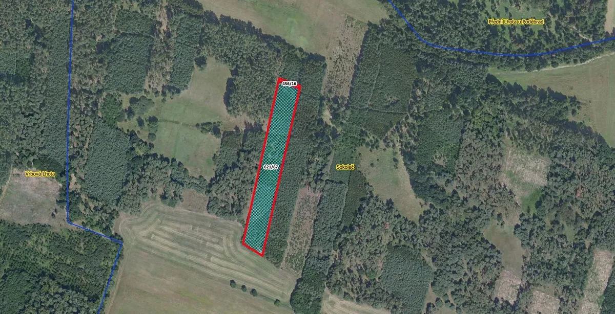Prodej lesa 9084 m²