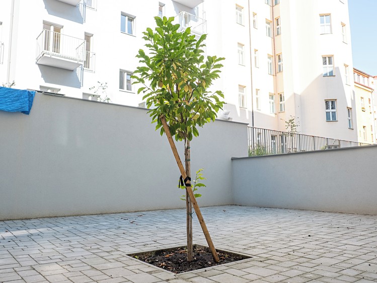 Prodej komerčního prostoru, 94 m² (15 z 25)
