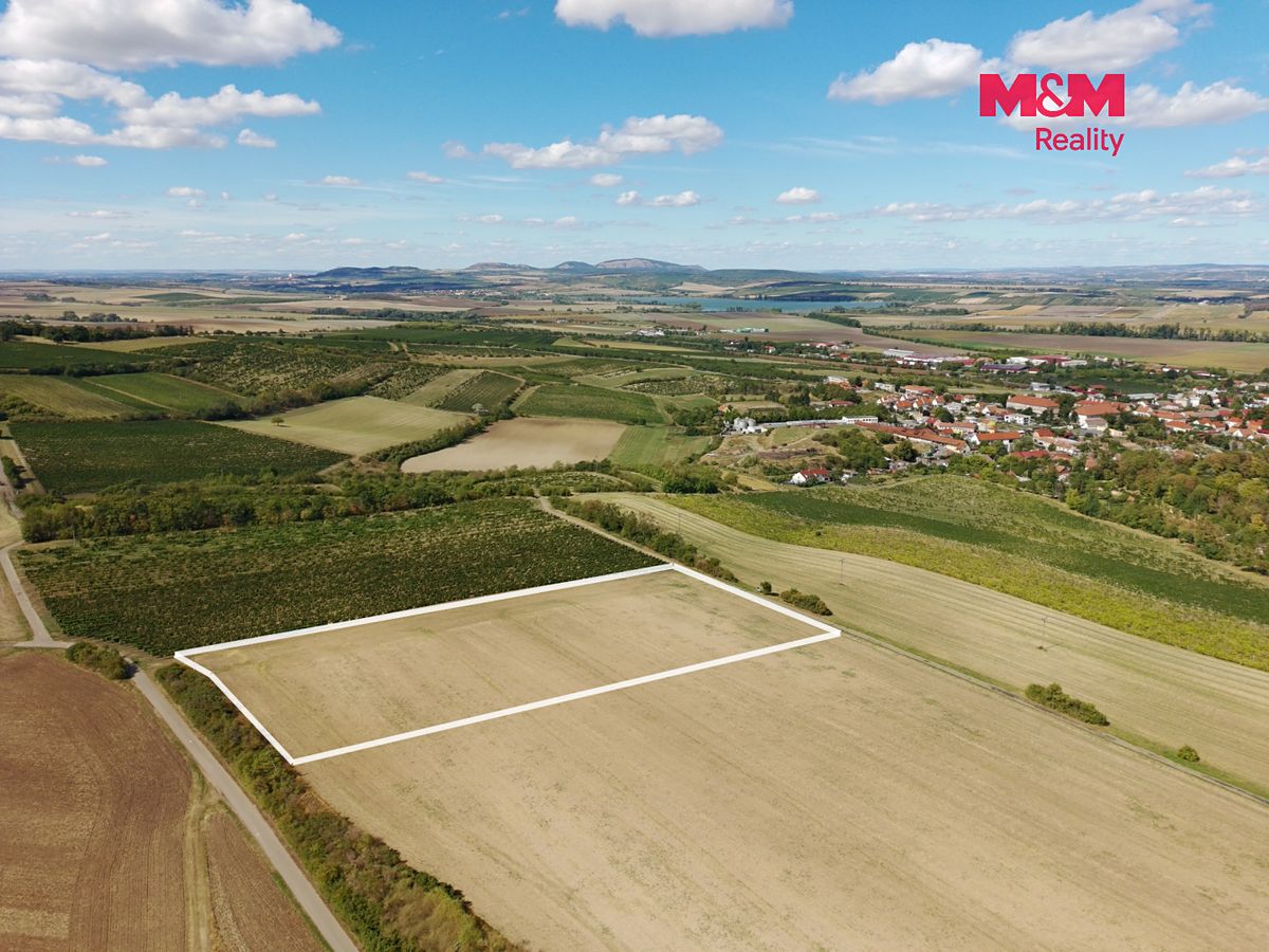 Prodej pole 9598 m² – fotografie 2