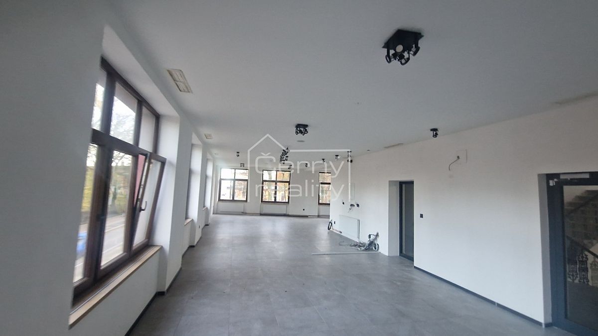 Pronájem obchodního prostoru 120 m² – fotografie 3