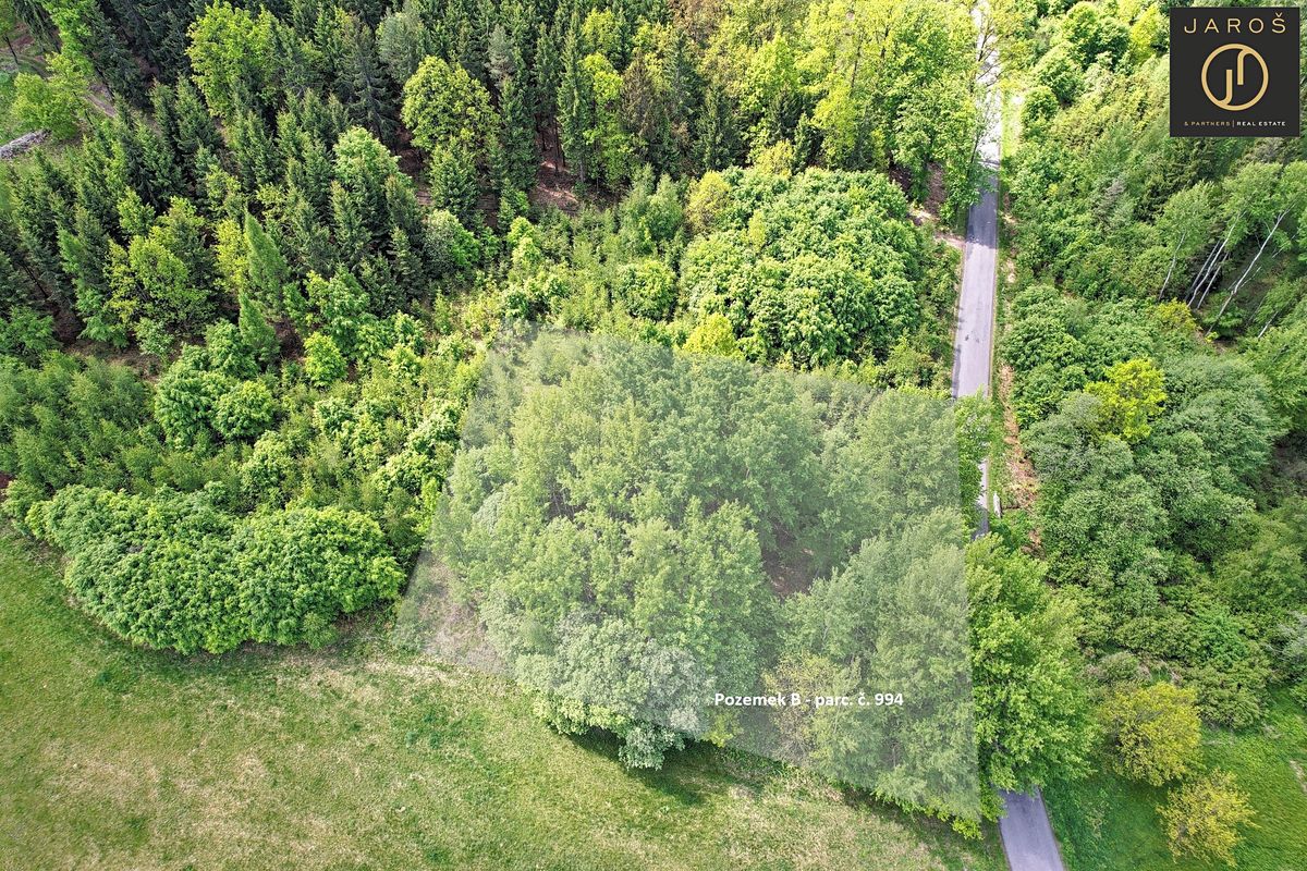 Prodej louky 9592 m² – fotografie 3