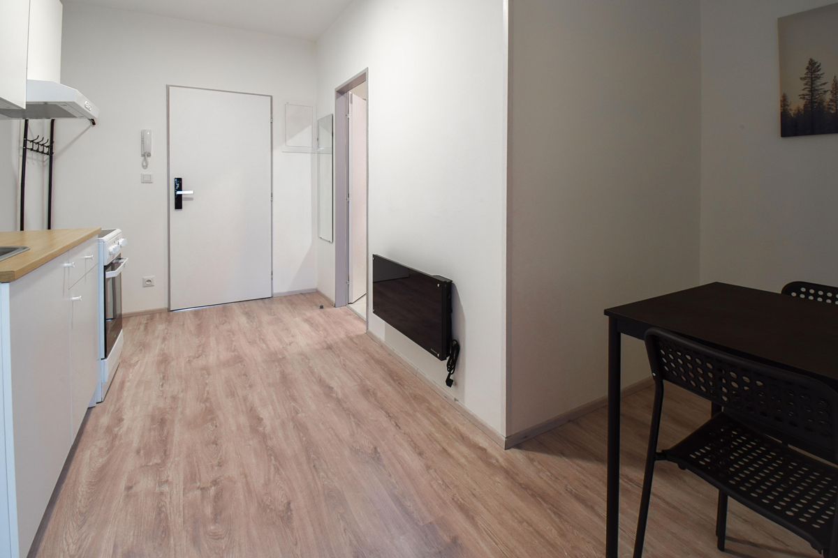 Pronájem bytu 1+1 29 m² – fotografie 5