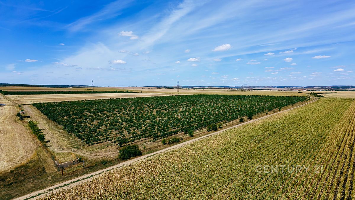 Prodej pole 48928 m² – fotografie 3