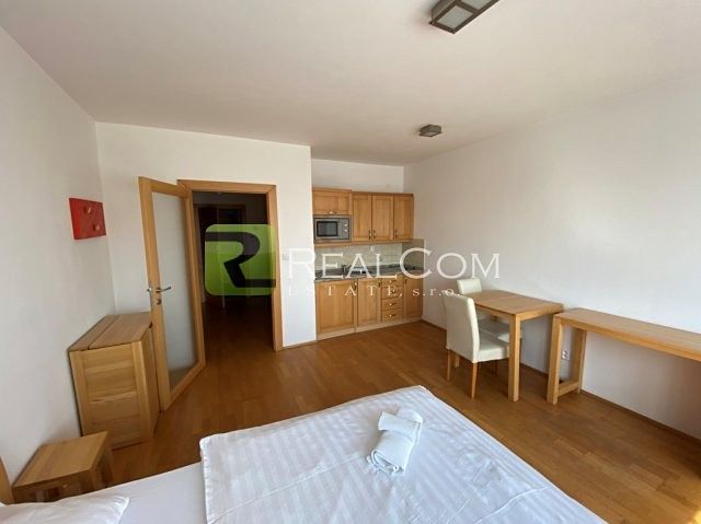 Pronájem bytu 1+kk 30 m² – fotografie 3