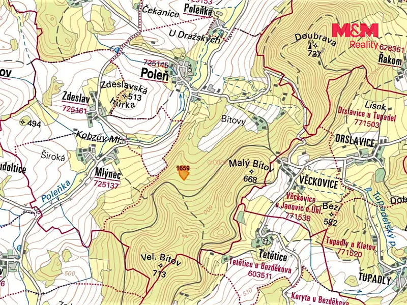 Prodej louky 16367 m², Poleň – náhled fotky 2