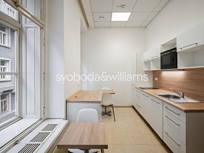 Pronájem komerčního prostoru, 300 m² (2 z 19)