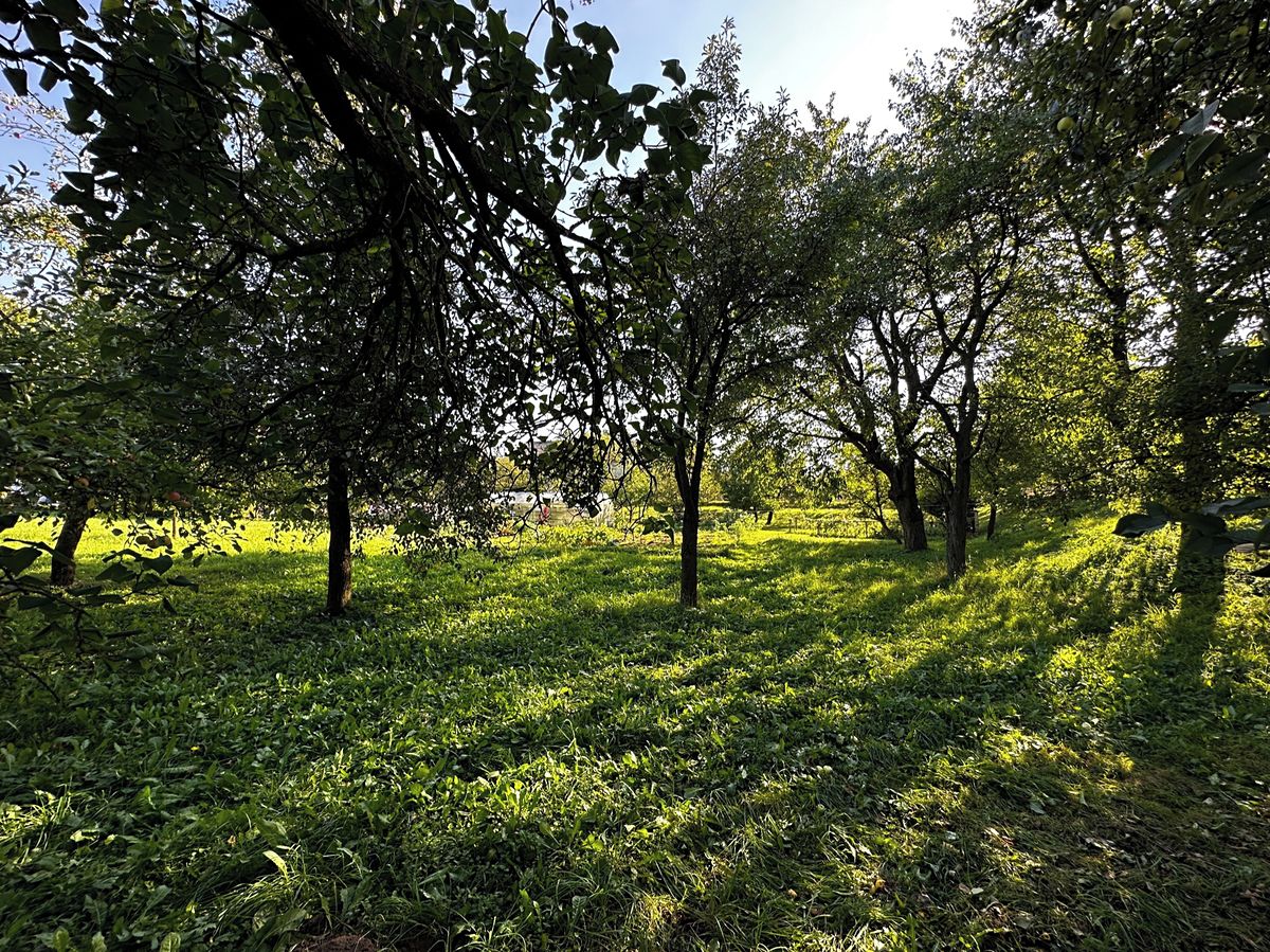 Prodej stavebního pozemku 2549 m² – fotografie 3
