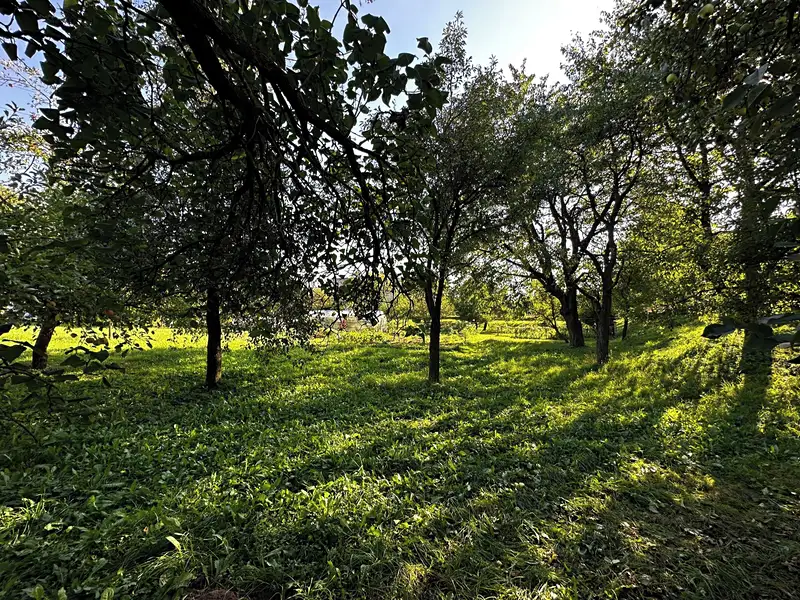 Prodej stavebního pozemku 2549 m², Biskupice – náhled fotky 3