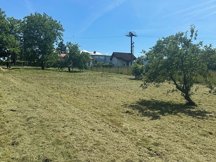 Prodej pozemku, 1 395 m² (1 z 16)