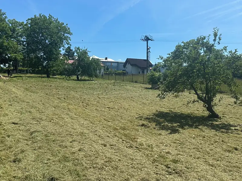 Prodej stavebního pozemku 1395 m², Janovice – náhled fotky 1