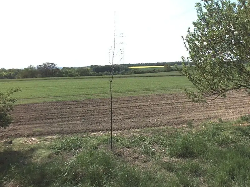 Prodej pole 9970 m², Kochánky – náhled fotky 2