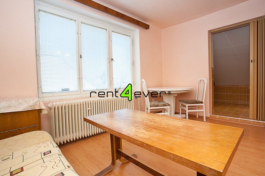 Pronájem bytu 1+kk 30 m² – fotografie 3