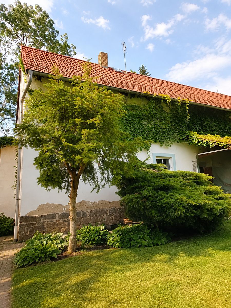 Prodej zemědělské usedlosti 360 m², pozemek 1570 m² – fotografie 2