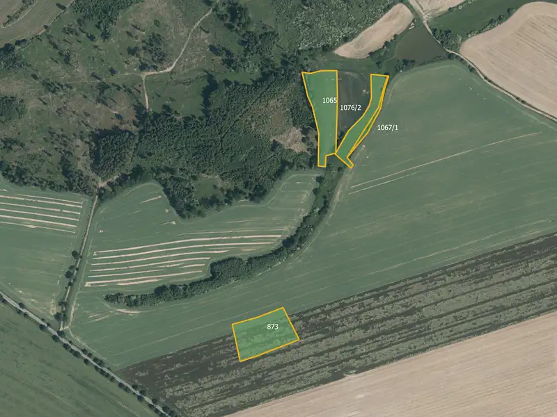 Prodej pole 21681 m², Načeradec – náhled fotky 2