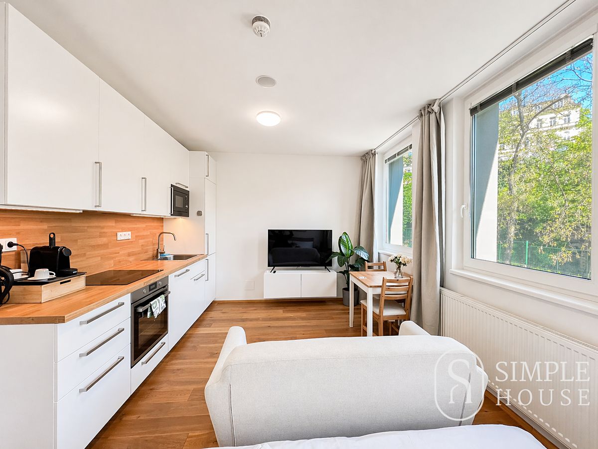 Pronájem bytu 1+kk 30 m² – fotografie 4