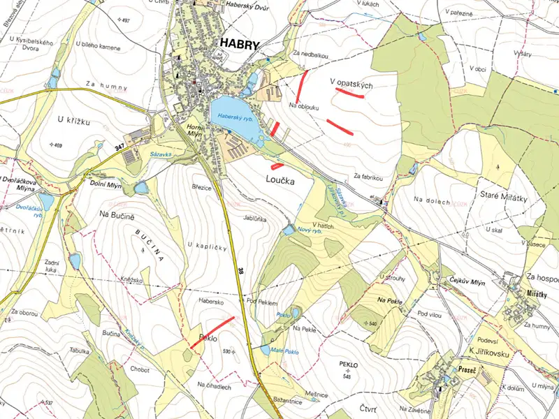 Prodej pole 5235 m², Habry – náhled fotky 3