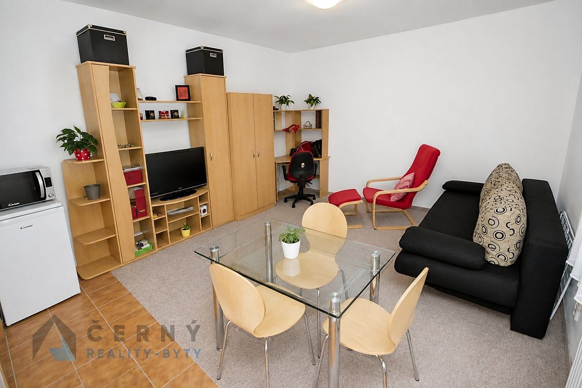 Pronájem bytu 1+kk 28 m² – fotografie 5