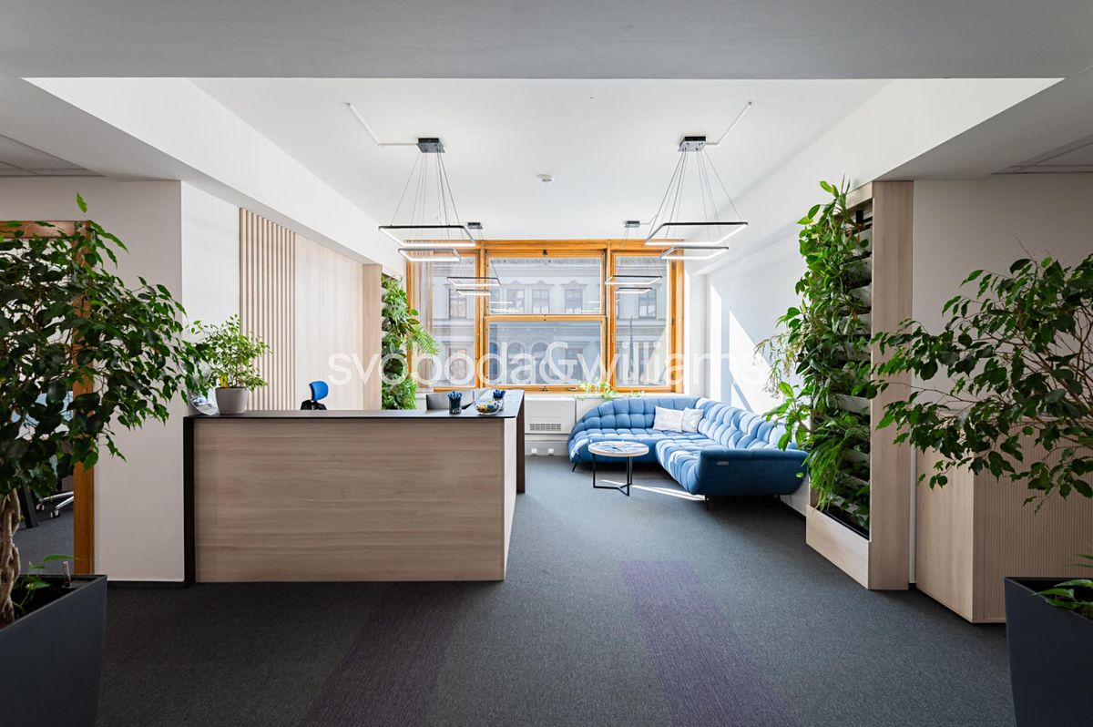 Pronájem kanceláře 596 m² – fotografie 5