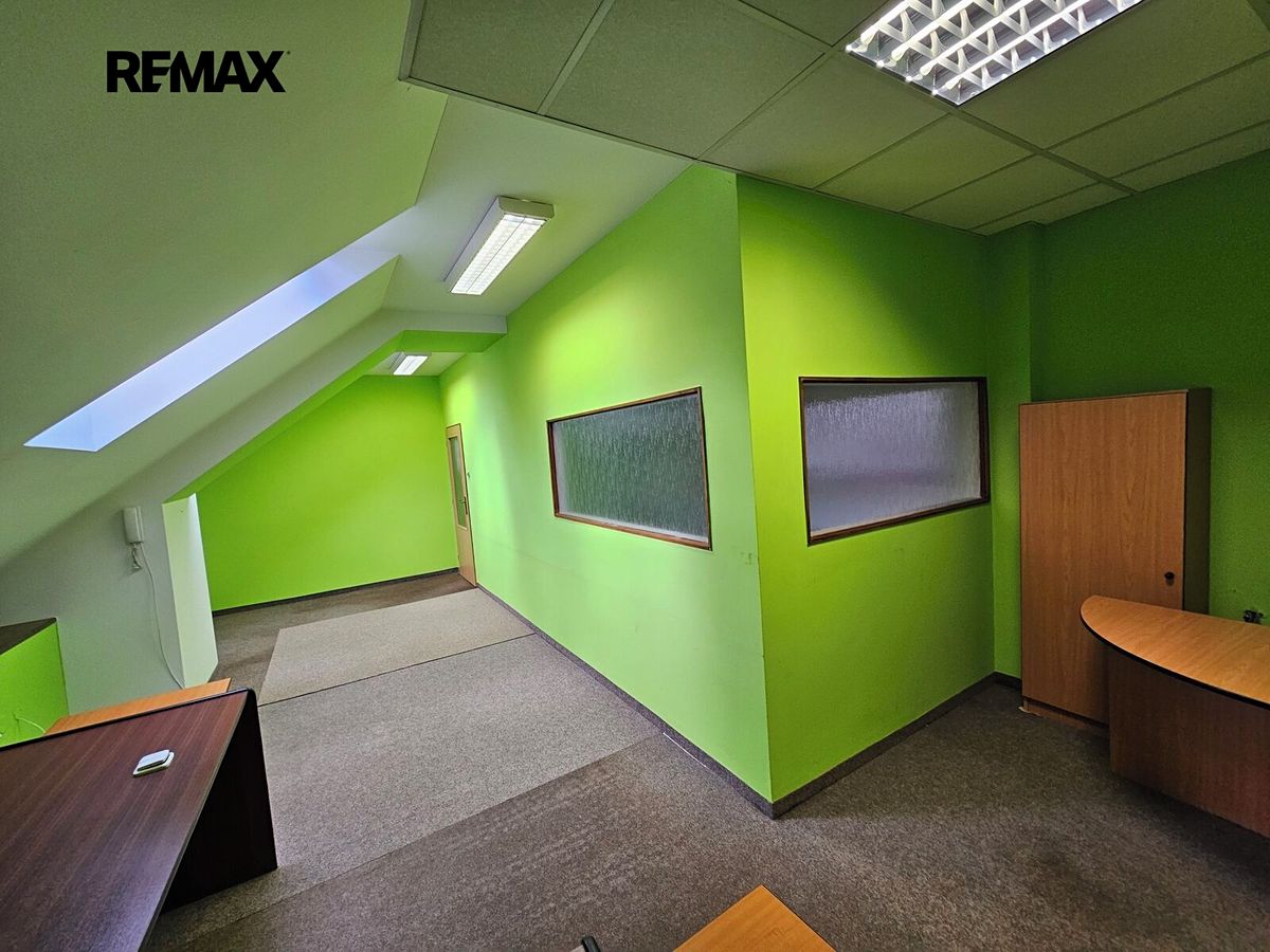 Prodej obchodního prostoru 687 m² – fotografie 4