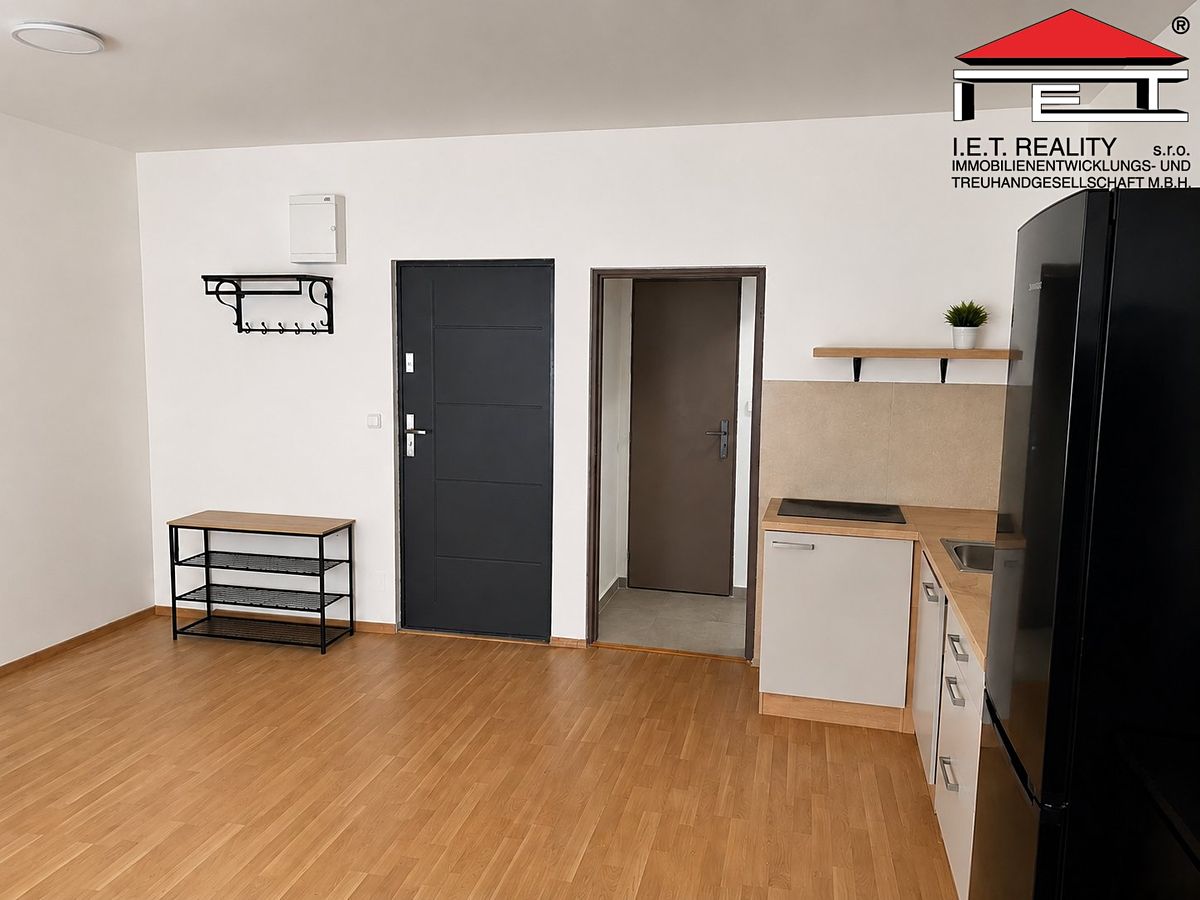 Pronájem bytu 1+kk 45 m² – fotografie 2
