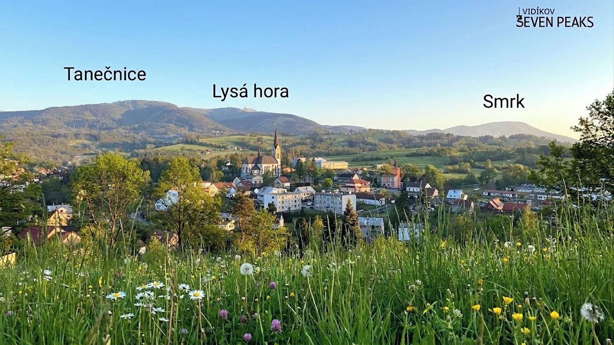 Prodej rodinného domu 300 m², pozemek 9446 m² – fotografie 3