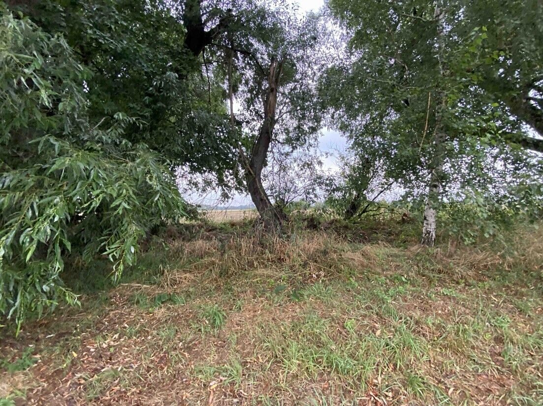 Prodej pozemku 173 m² – fotografie 3