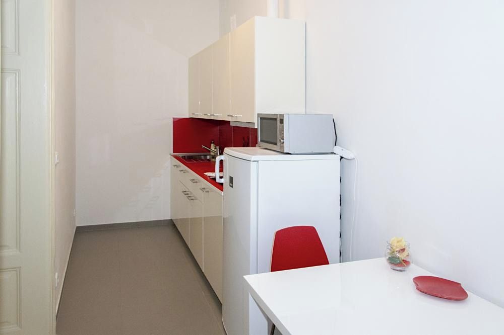 Pronájem bytu 1+1 35 m² – fotografie 4