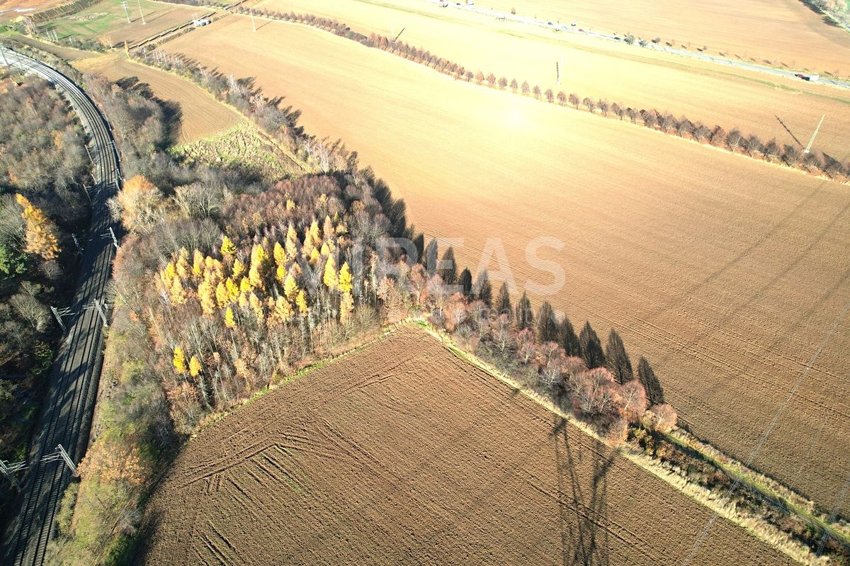 Prodej pole 7476 m² – fotografie 5