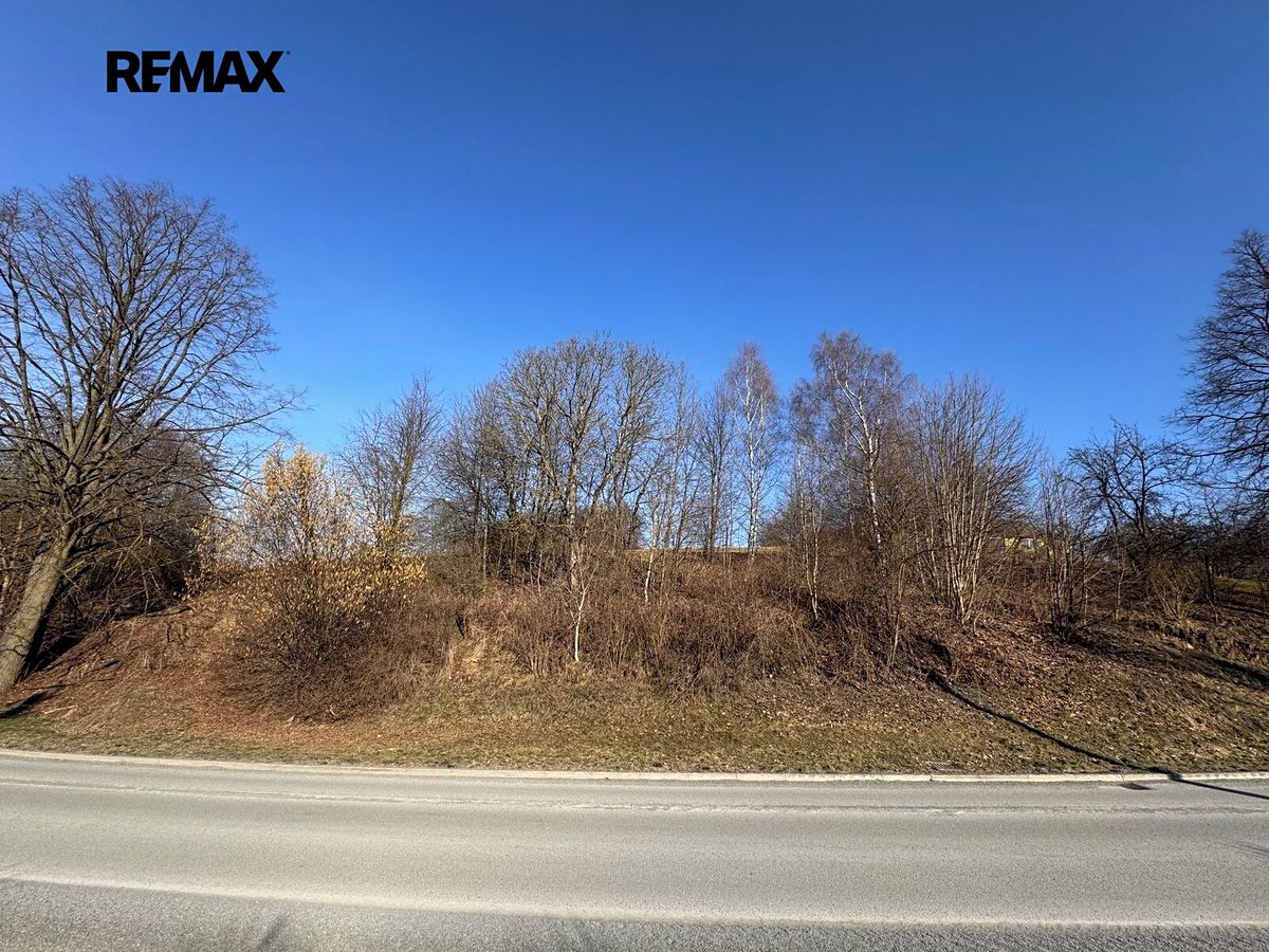 Prodej stavebního pozemku 4000 m² – fotografie 2