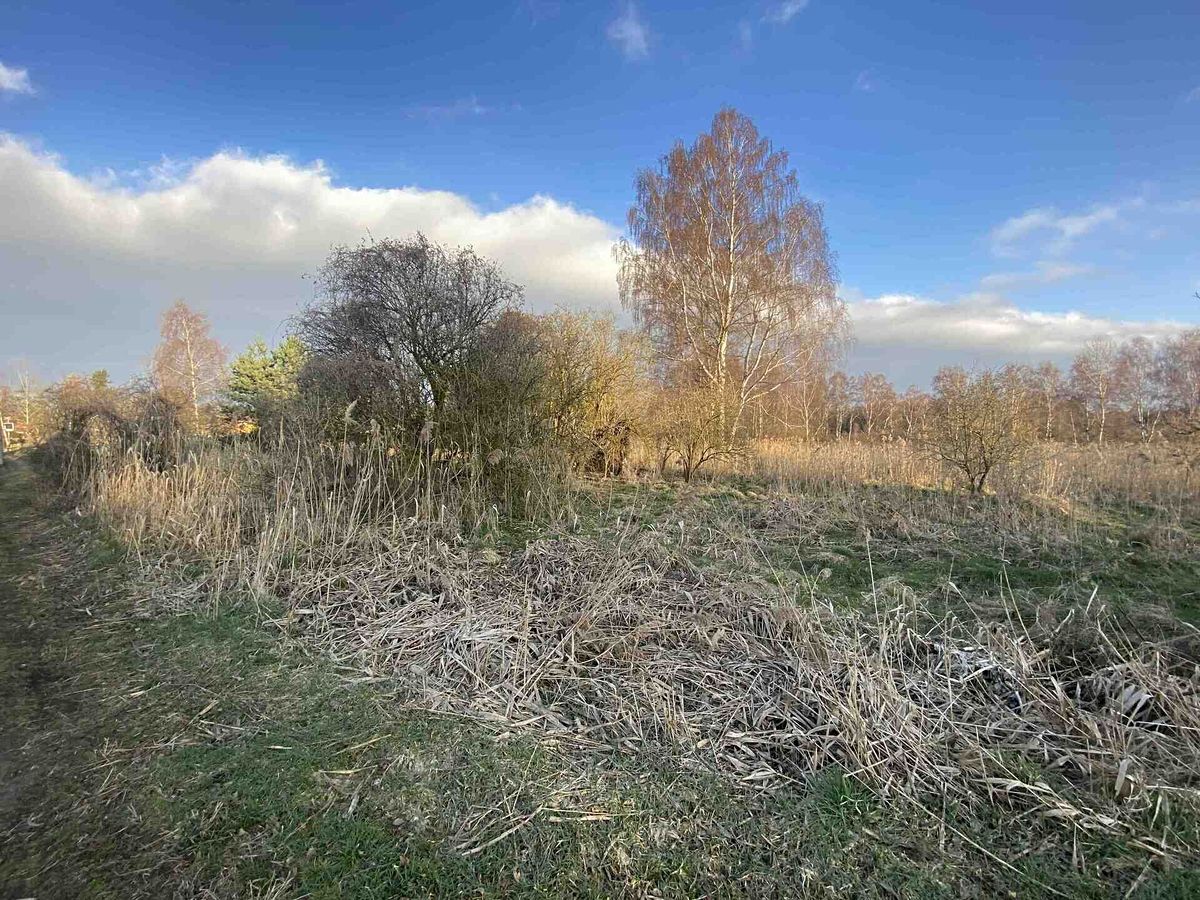 Prodej pole 2866 m²