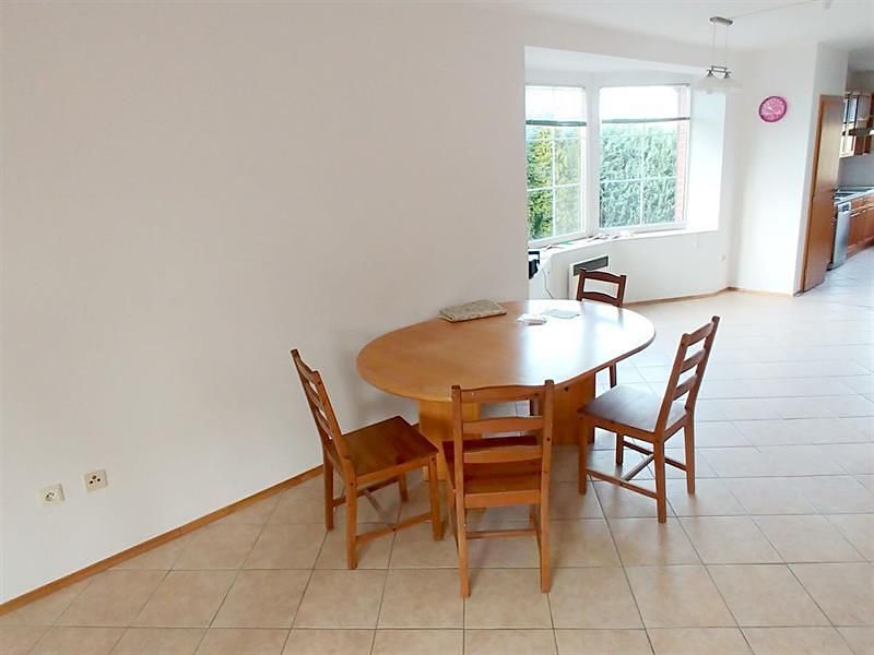 Pronájem rodinného domu 250 m², pozemek 383 m² – fotografie 5