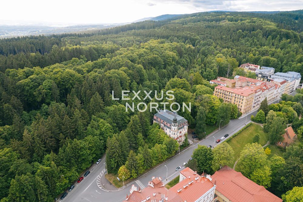 Prodej komerčního pozemku 4000 m² – fotografie 3