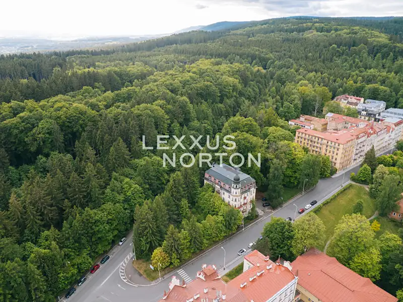 Prodej komerčního pozemku 4000 m², Mariánské Lázně – náhled fotky 3