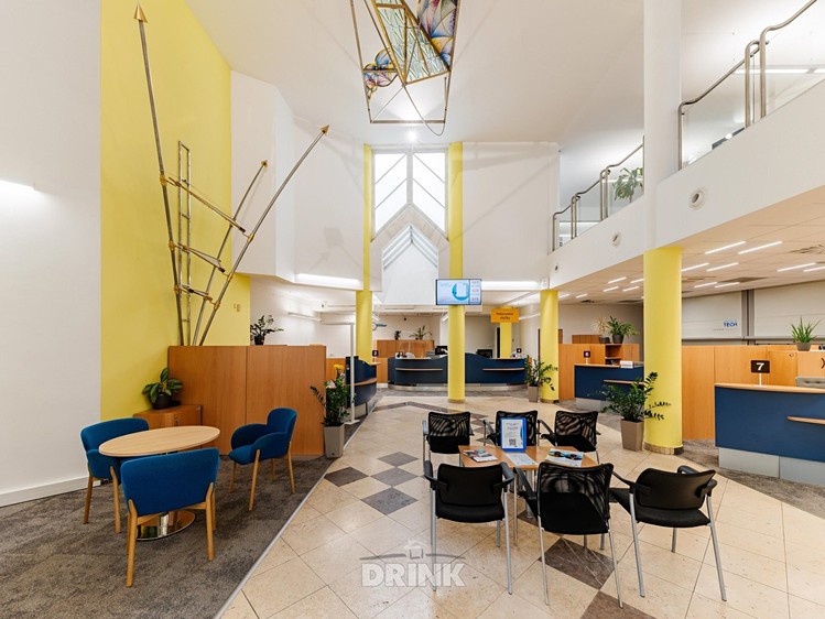 Pronájem komerčního prostoru, 317 m² (10 z 14)