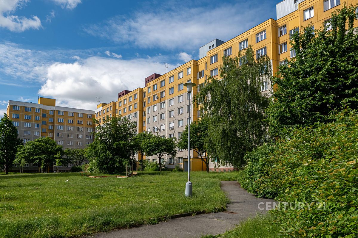 Pronájem bytu 4+1 80 m²