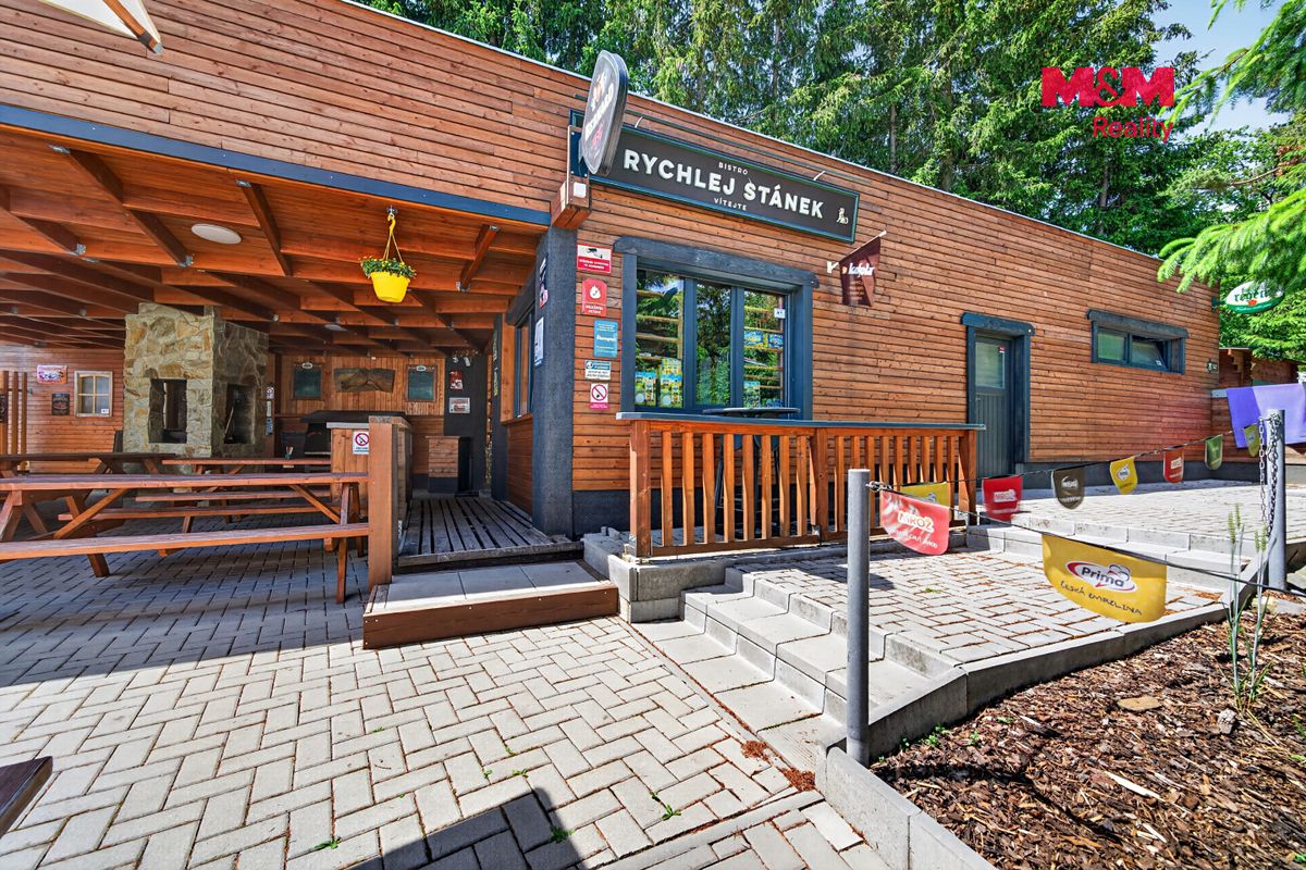 Prodej rodinného domu 259 m², pozemek 2560 m² – fotografie 4