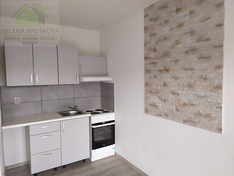 Wohnung 1+kk zur Miete, 27 m² (1 von 14)