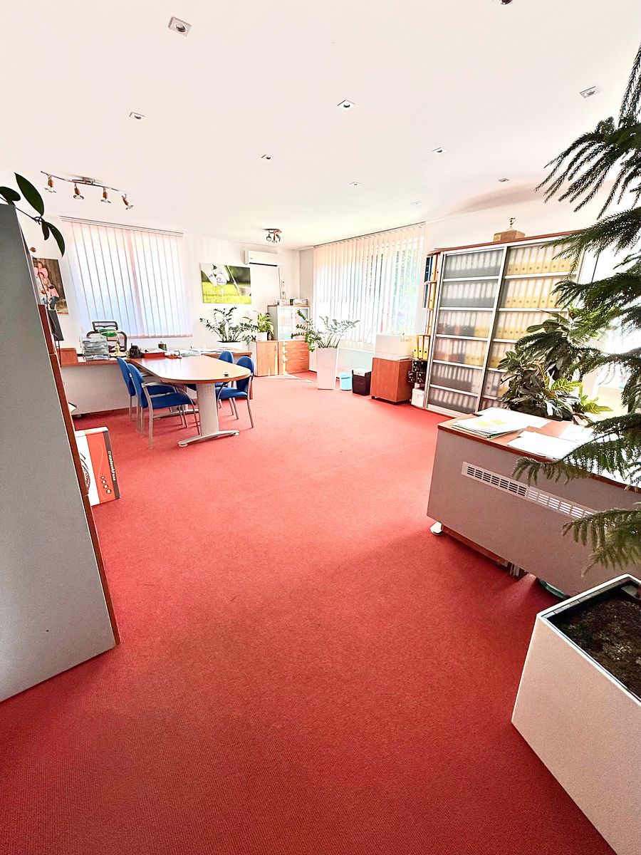 Pronájem kanceláře 440 m² – fotografie 3
