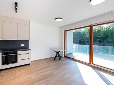Pronájem bytu 1+kk 33 m²