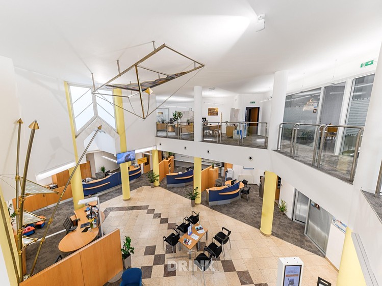 Pronájem komerčního prostoru, 317 m² (4 z 14)