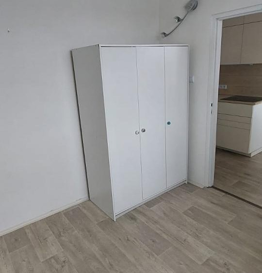 Wohnung 3+1 zur Miete, 64 m² (8 von 16)
