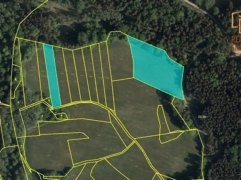 Prodej pole 32894 m², Seč – náhled fotky 2
