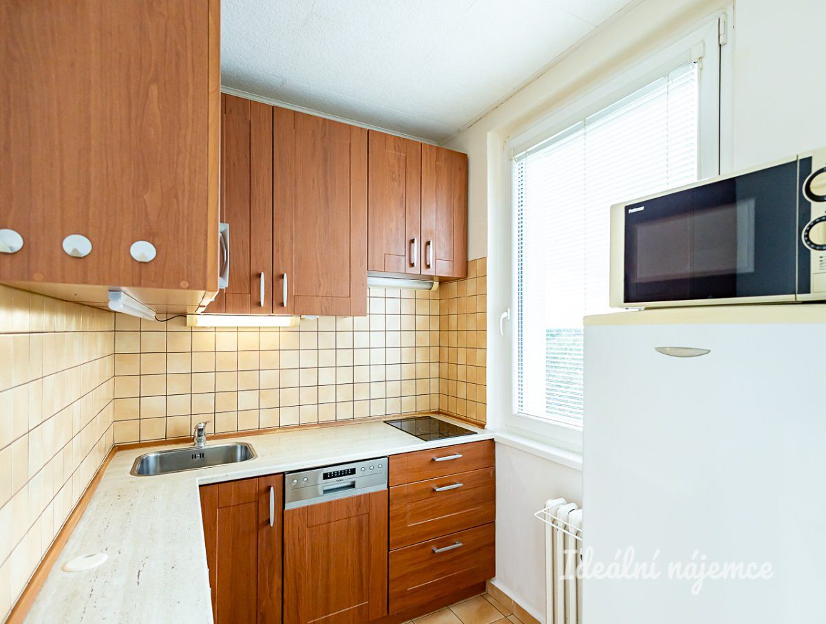 Pronájem bytu 1+1 29 m²